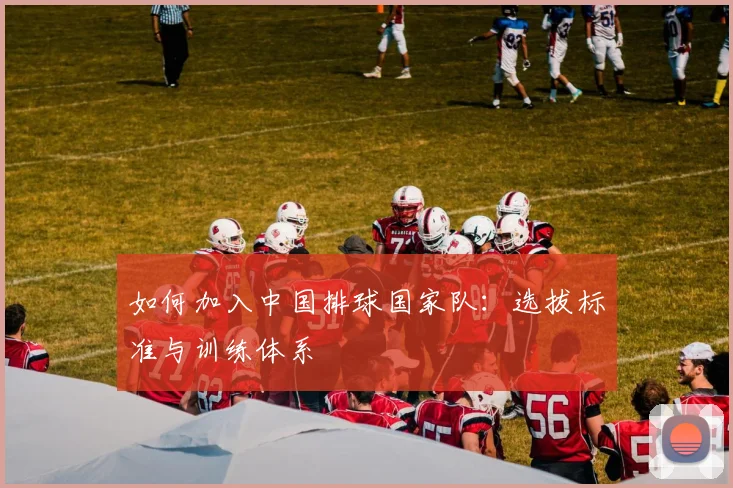 如何加入中国排球国家队：选拔标准与训练体系